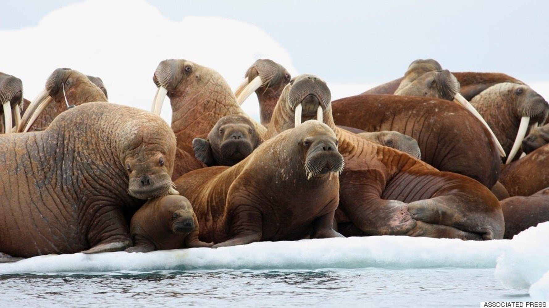 Climate Change's Impact On Alaska - Vimarsana News