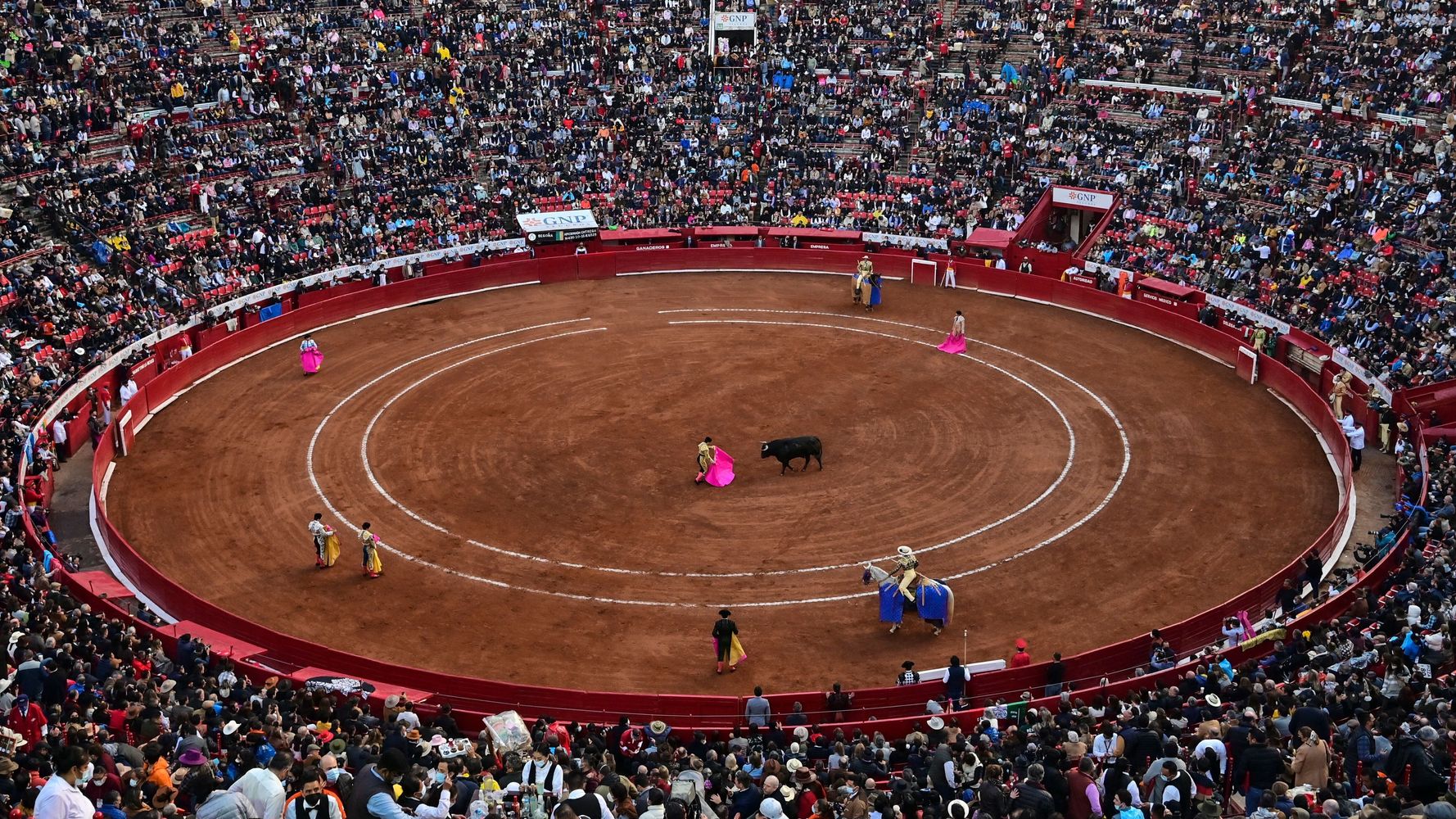 Un juez suspende de manera indefinida las corridas de toros en Plaza México, la más grande del mundo