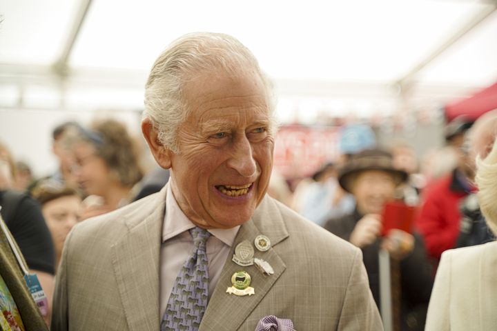The Prince of Wales has reportedly criticised the government's plans to send asylum seekers to Rwanda.