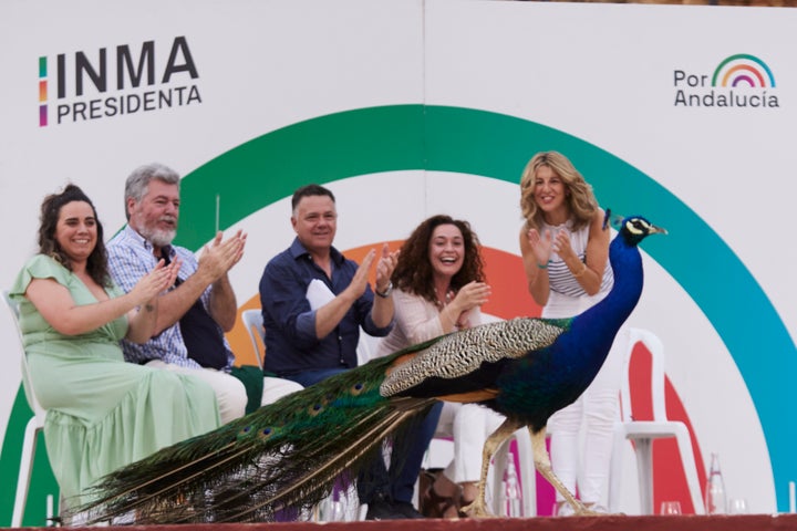 Un pavo real se cruza todo el escenario en un mitin de Por Andalucía.