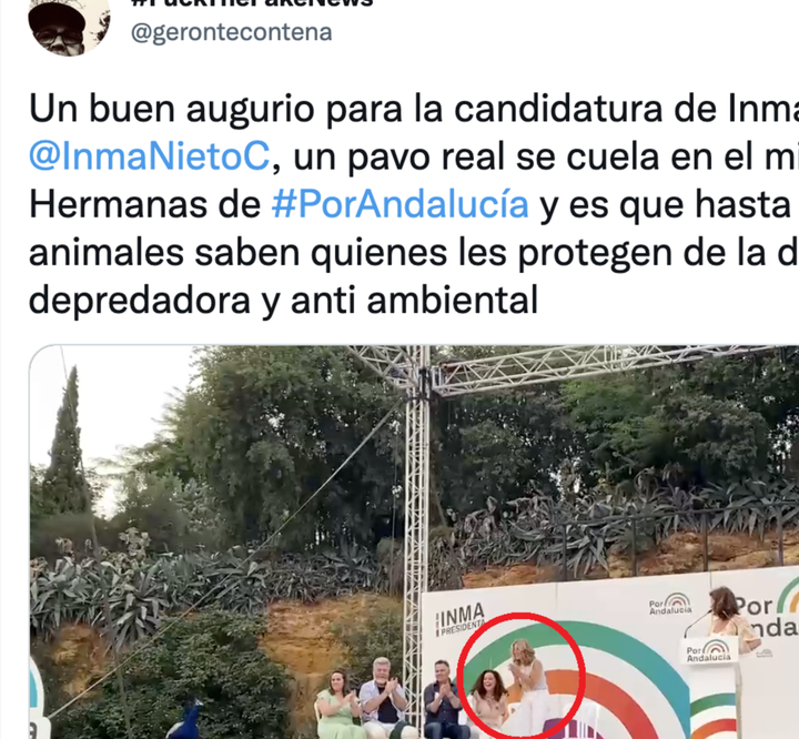 El momento en el que un pavo real aparece en el escenario de Por Andalucía.
