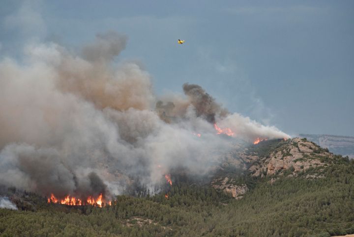 Los Bomberos de la Generalitat trabajan en la extinción de ocho incendios.