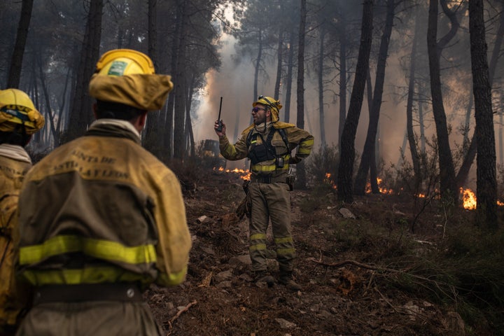 Incendio en la Sierra La Culebra, en Zamora.