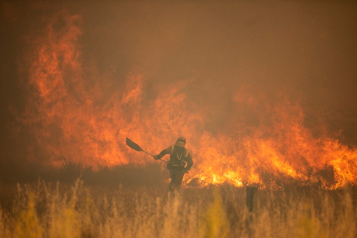 Bomberos luchan contra el fuego en Zamora.