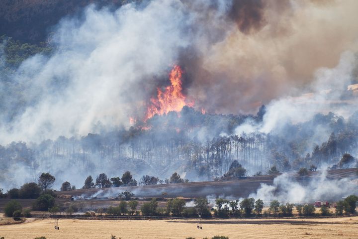 Vista del incendio forestal desatado entre Peramola y Oliana (Lleida).