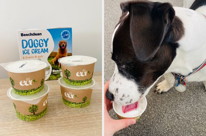 Ice, ice, doggy: Aldi's dog-friendly ice cream goes down a treat.
