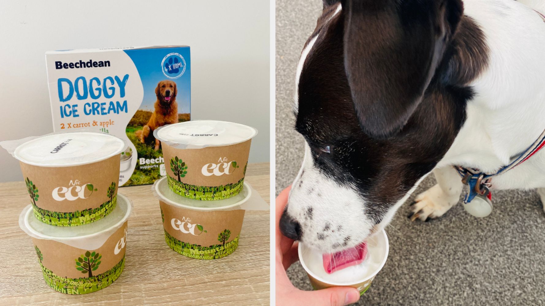Aldi Is Selling Doggy Ice Cream. This is What My Pooch Manufactured Of It