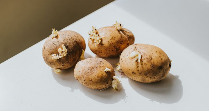 For a metaphorical idea of what skin tags look like, think about the growths on these potatoes.