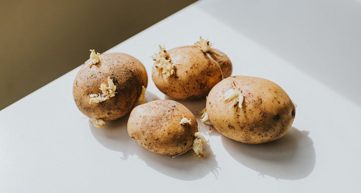 For a metaphorical idea of what skin tags look like, think about the growths on these potatoes.