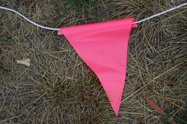Pink flags can turn into red flags if not addressed. 