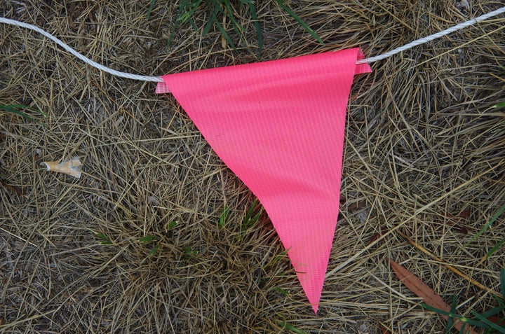 Pink flags can turn into red flags if not addressed.