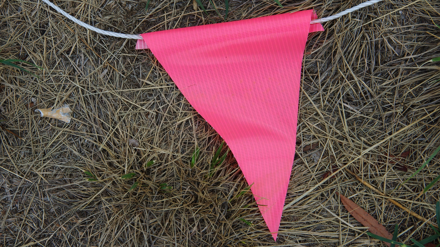10 'Pink Flags' To Pay Attention To In Relationships - Vimarsana News