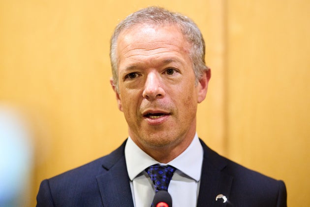 El presidente del Senado, Ander Gil.