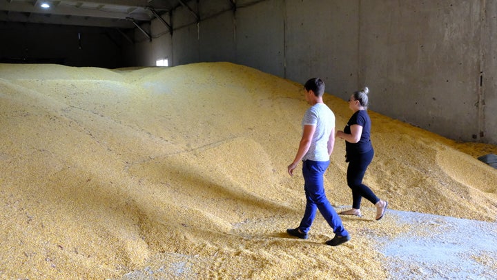 A view from agricultural fields in Oblast on June 21, 2022. Farmers in Ukraine, one of the largest grain producers in the world, have been struggling to sell their product due to the war. 