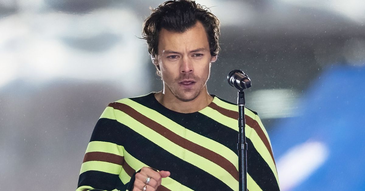 Harry Styles’ Stalker Admits To Breaching Restraining Order | HuffPost ...