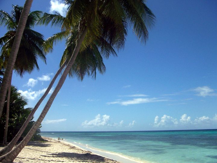 Isla Saona en República Dominicana.
