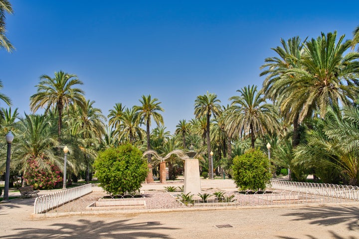 El palmeral de Elche.