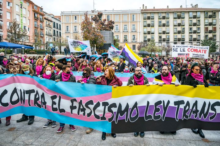 Manifestación por la Ley Trans en Madrid.