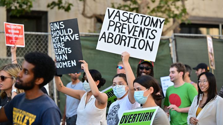 A vasectomy sign at a pro-choice protest in the US.