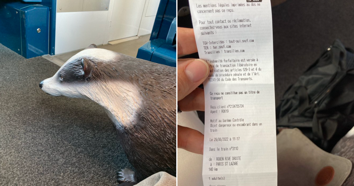 Il est verbalisé dans le TER à cause de sa statue de blaireau, la SNCF annule son amende | Le HuffPost