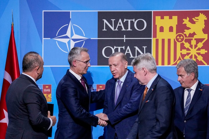 Stoltenberg agradece a Erdogan que no vete a Finlandia y Suecia.