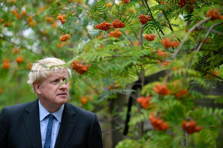 Prime minister Boris Johnson 