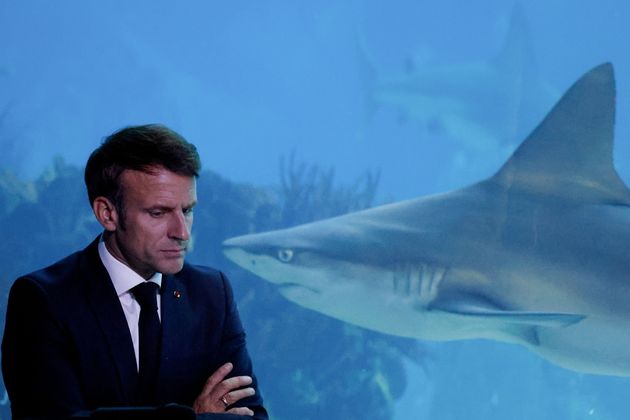 Emmanuel Macron à l'Oceanarium de Lisbonne le 30 juin 2022, pour défendre la candidature de la France à l’organisation de la prochaine Conférence des Nations unies sur les océans en 2025.