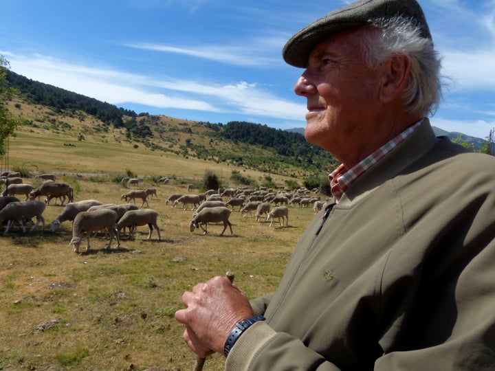 El pastor Jesús Garzón junto a sus ovejas en la ladera segoviana de la Sierra de Guadarrama