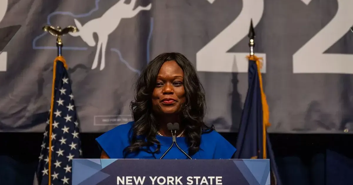 Rodneyse Bichotte Hermelyn Railed Against Brooklyn’s Democratic Machine ...