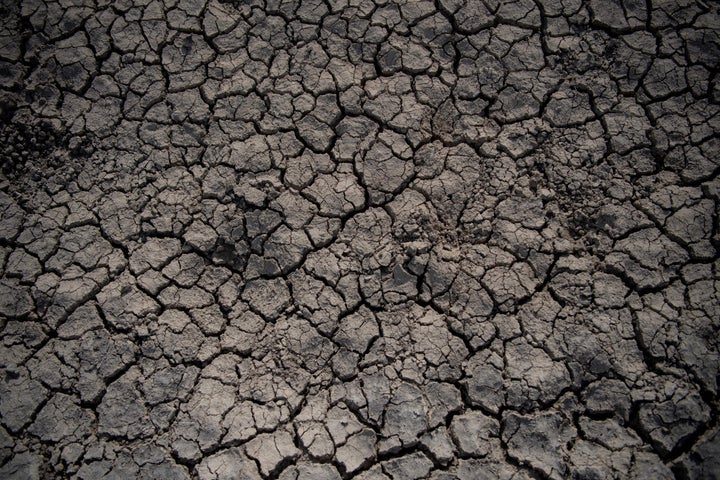 El suelo agrietado en el Parque Natural de Doñana en Ayamonte, Huelva, en mayo.