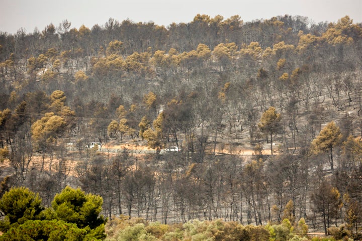 Incendio en Venta del Moro, Valencia.