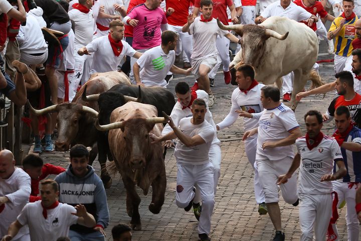 Los toros de la ganadería gaditana Núñez del Cuvillo en el tramo del callejón, antes de entrar en la Plaza de Toros, durante el primer encierro de los Sanfermines 2022.