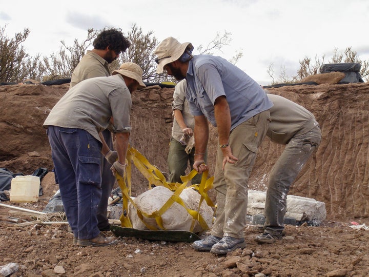 Vista de las excavaciones en la Patagonia argentina.
