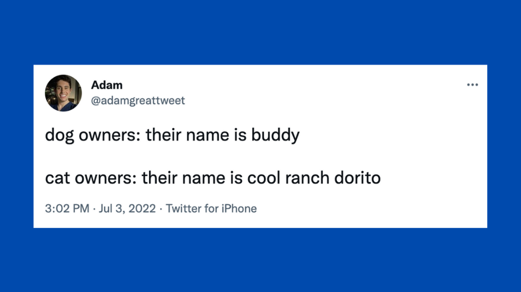 20 Of The Funniest Tweets About Cats And Dogs This Week - Vimarsana News
