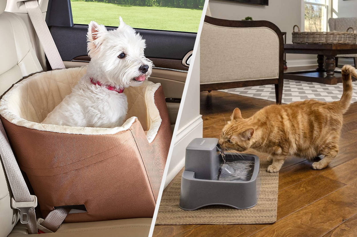 28 Purrfect Pet Products To Bag Before Amazon Prime Day Is Done