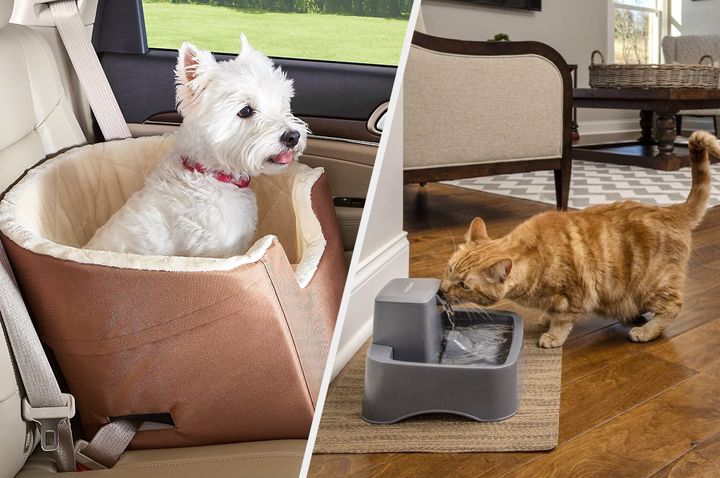 The best pet deals this Amazon Prime Day