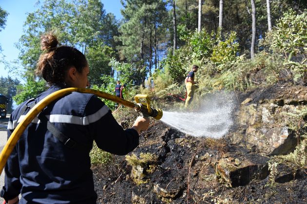 Dans le Gard, près de Besseges, plus de 700 pompiers continuent de lutter contre le méga-feu qui a déjà brûlé plus de 600 hectares.
