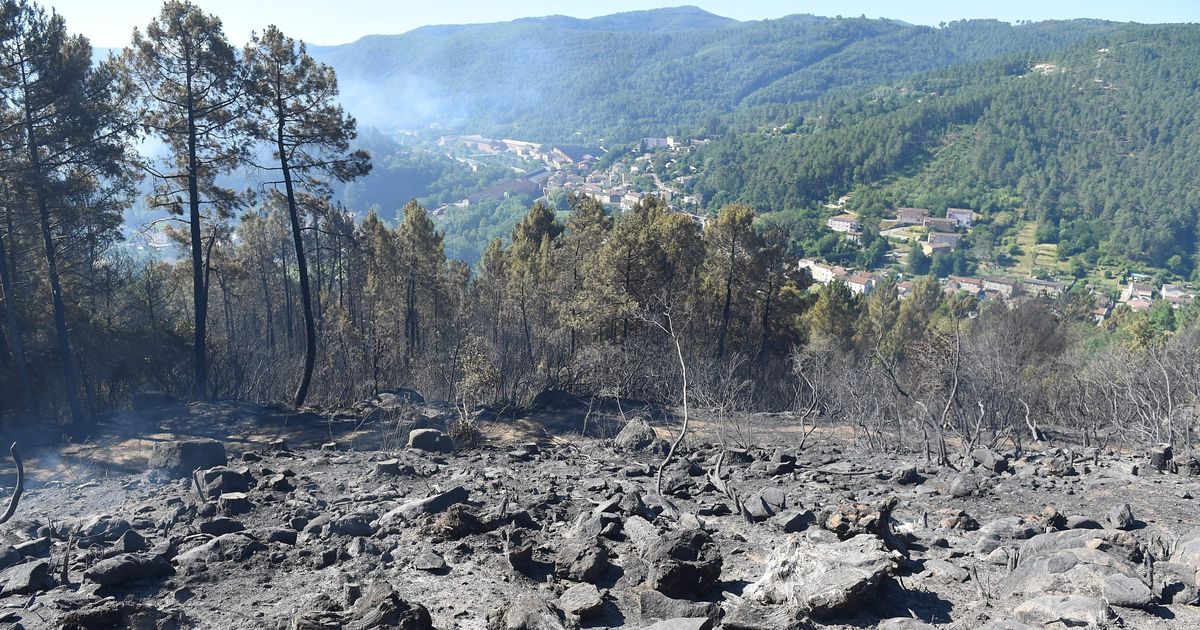 The mega-fire “under control” in the north of Gard, other fires near Nîmes and Beaucaire