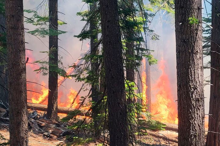 The Washburn Fire burns near the lower portion of the Mariposa Grove in Yosemite National Park, Calif., July 7, 2022. (National Park Service via AP)