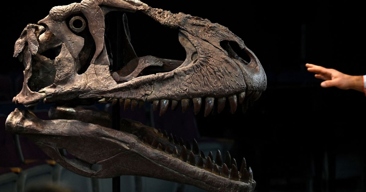 Scientists Discover Dinosaur Species With Short Arms | HuffPost Impact