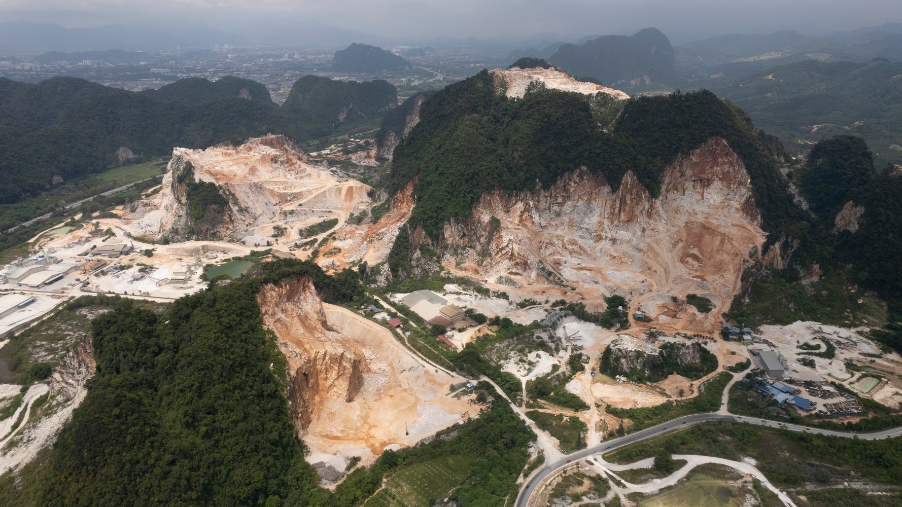 Earth Is On Track To Lose More Than 1,000 Wild Mammal Species, UN Report Says Earth Is On Track To Lose More Than 1,000 Wild Mammal Species, UN Report Says