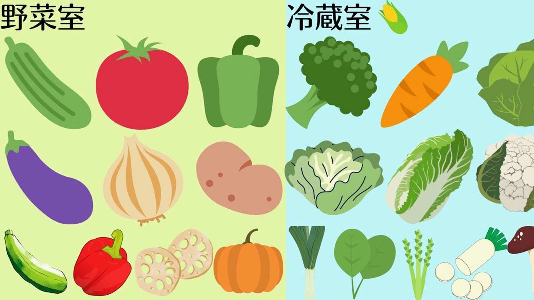 野菜は野菜室へ は間違い 八百屋のアドバイスに驚きの声 画像 ハフポスト Life 野菜は野菜室へ は間違い 八百屋のアドバイスに驚きの声 画像 ハフポスト Life
