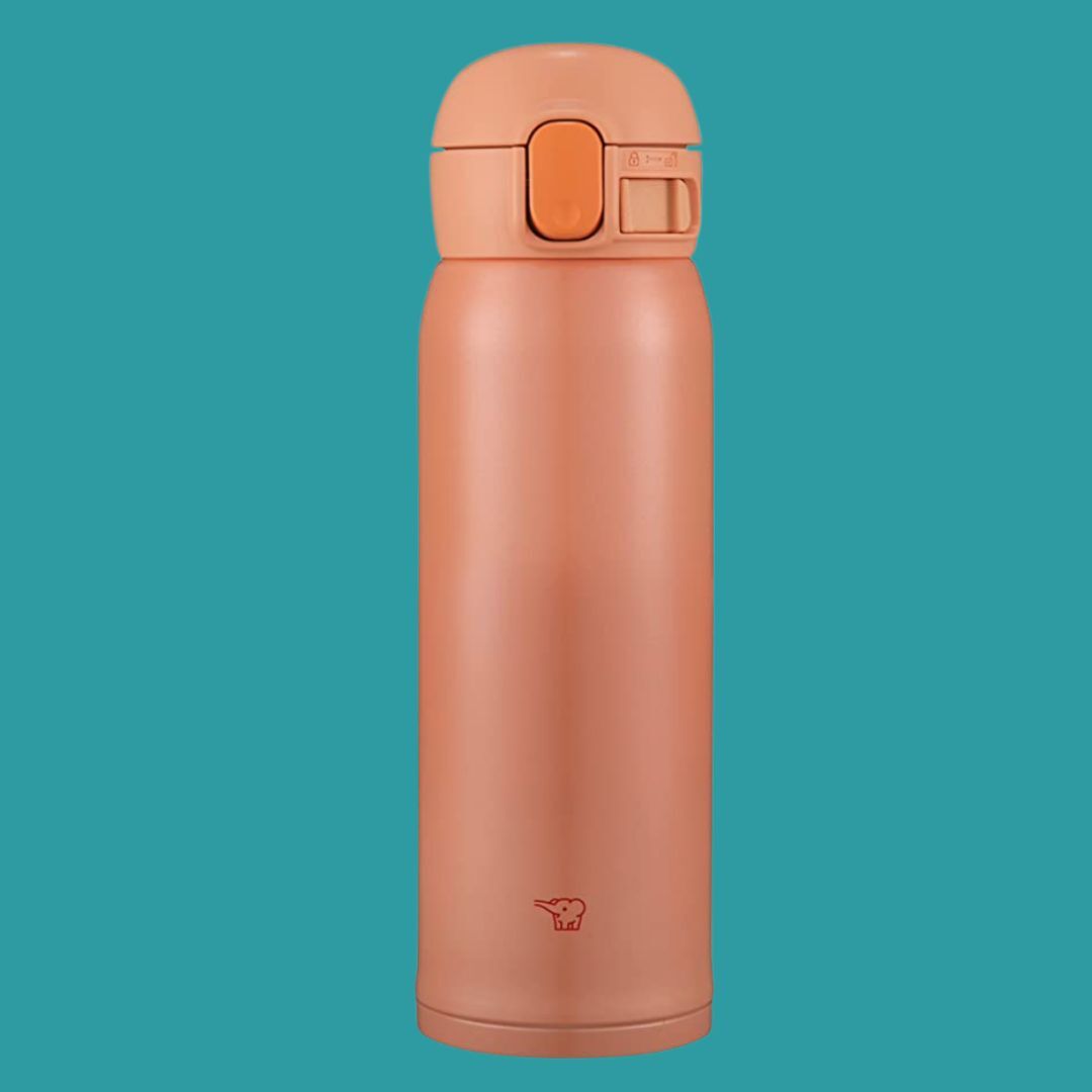 amazon prime day zojirushi