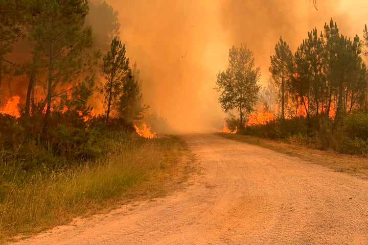 This photo provided by the fire brigade of the Gironde region (SDIS33) shows a wildfire near Landiras, southwestern France, Wednesday, July 13, 2022.