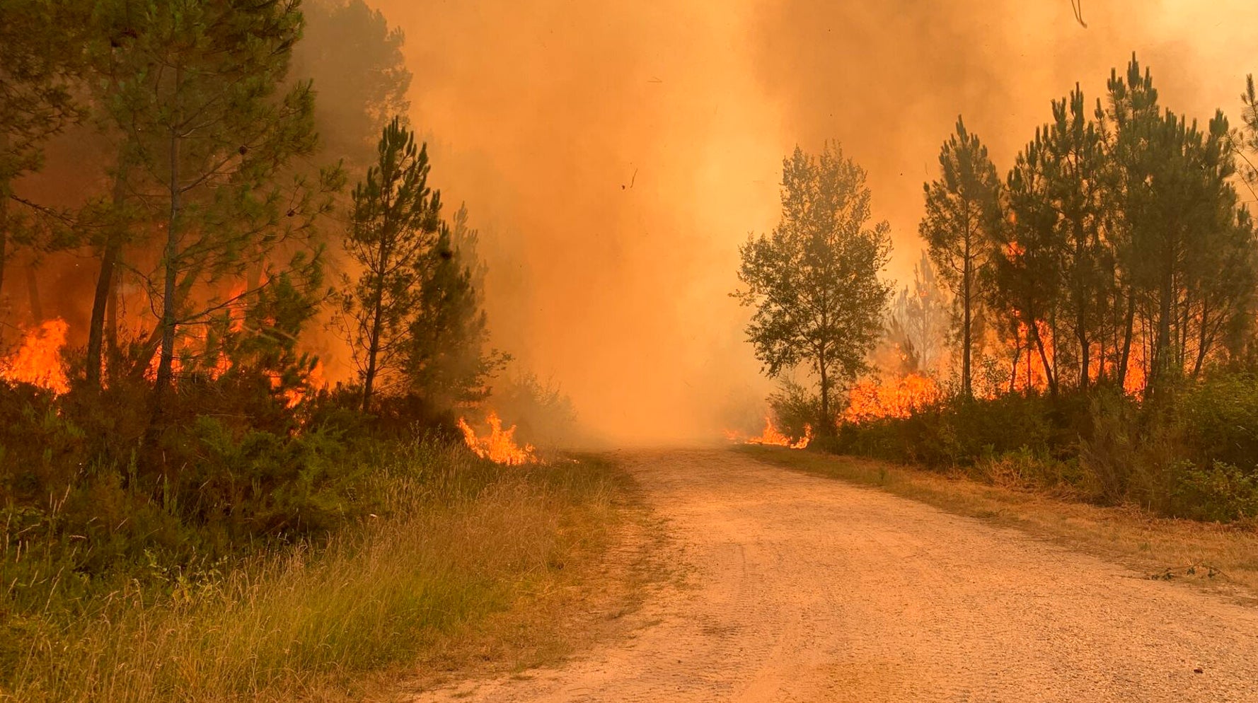 Wildfires Rage Over Parts Of Europe Amid Scorching Heat Wave - Vimarsana News