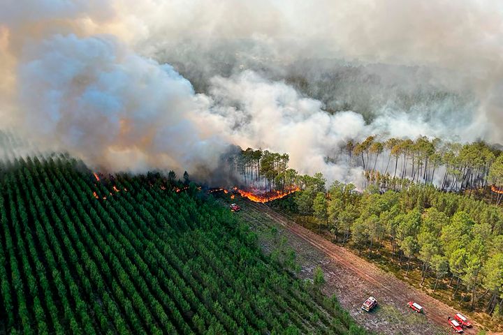 This photo provided by the fire brigade of the Gironde region (SDIS33) shows a wildfire near Landiras, southwestern France, Wednesday, July 13, 2022.