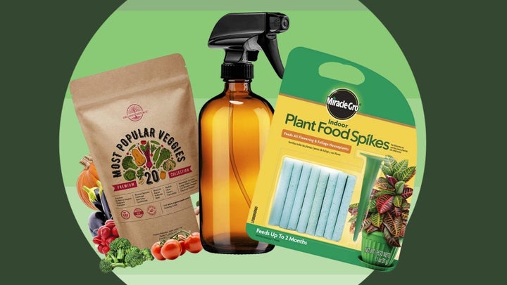 Let it grow with this <a href="https://www.amazon.com/Most-Popular-Vegetables-Seeds-Variety/dp/B092NSX94B?tag=tessaflores-20&ascsubtag=62d08b70e4b0be7955b19b93%2C-1%2C-1%2Cd%2C0%2C0%2Chp-fil-am%3D0%2C0%3A0%2C0%2C0%2C0" target="_blank" data-affiliate="true" role="link" data-amazon-link="true" rel="sponsored" class=" js-entry-link cet-external-link" data-vars-item-name="variety pack of popular fruit and vegetable seeds" data-vars-item-type="text" data-vars-unit-name="62d08b70e4b0be7955b19b93" data-vars-unit-type="buzz_body" data-vars-target-content-id="https://www.amazon.com/Most-Popular-Vegetables-Seeds-Variety/dp/B092NSX94B?tag=tessaflores-20&ascsubtag=62d08b70e4b0be7955b19b93%2C-1%2C-1%2Cd%2C0%2C0%2Chp-fil-am%3D0%2C0%3A0%2C0%2C0%2C0" data-vars-target-content-type="url" data-vars-type="web_external_link" data-vars-subunit-name="article_body" data-vars-subunit-type="component" data-vars-position-in-subunit="0">variety pack of popular fruit and vegetable seeds</a>,<a href="https://www.amazon.com/Empty-Amber-Glass-Bottles-Labels/dp/B01G98Y1BA?tag=tessaflores-20&ascsubtag=62d08b70e4b0be7955b19b93%2C-1%2C-1%2Cd%2C0%2C0%2Chp-fil-am%3D0%2C0%3A0%2C0%2C0%2C0" target="_blank" data-affiliate="true" role="link" data-amazon-link="true" rel="sponsored" class=" js-entry-link cet-external-link" data-vars-item-name=" an amber plant mister" data-vars-item-type="text" data-vars-unit-name="62d08b70e4b0be7955b19b93" data-vars-unit-type="buzz_body" data-vars-target-content-id="https://www.amazon.com/Empty-Amber-Glass-Bottles-Labels/dp/B01G98Y1BA?tag=tessaflores-20&ascsubtag=62d08b70e4b0be7955b19b93%2C-1%2C-1%2Cd%2C0%2C0%2Chp-fil-am%3D0%2C0%3A0%2C0%2C0%2C0" data-vars-target-content-type="url" data-vars-type="web_external_link" data-vars-subunit-name="article_body" data-vars-subunit-type="component" data-vars-position-in-subunit="1"> an amber plant mister</a> and <a href="https://www.amazon.com/Miracle-Gro-Indoor-Plant-Spikes-1-1-Ounce/dp/B000HAAOKY?tag=tessaflores-20&ascsubtag=62d08b70e4b0be7955b19b93%2C-1%2C-1%2Cd%2C0%2C0%2Chp-fil-am%3D0%2C0%3A0%2C0%2C0%2C0" target="_blank" data-affiliate="true" role="link" data-amazon-link="true" rel="sponsored" class=" js-entry-link cet-external-link" data-vars-item-name="growth accelerating food spikes" data-vars-item-type="text" data-vars-unit-name="62d08b70e4b0be7955b19b93" data-vars-unit-type="buzz_body" data-vars-target-content-id="https://www.amazon.com/Miracle-Gro-Indoor-Plant-Spikes-1-1-Ounce/dp/B000HAAOKY?tag=tessaflores-20&ascsubtag=62d08b70e4b0be7955b19b93%2C-1%2C-1%2Cd%2C0%2C0%2Chp-fil-am%3D0%2C0%3A0%2C0%2C0%2C0" data-vars-target-content-type="url" data-vars-type="web_external_link" data-vars-subunit-name="article_body" data-vars-subunit-type="component" data-vars-position-in-subunit="2">growth accelerating food spikes</a>.