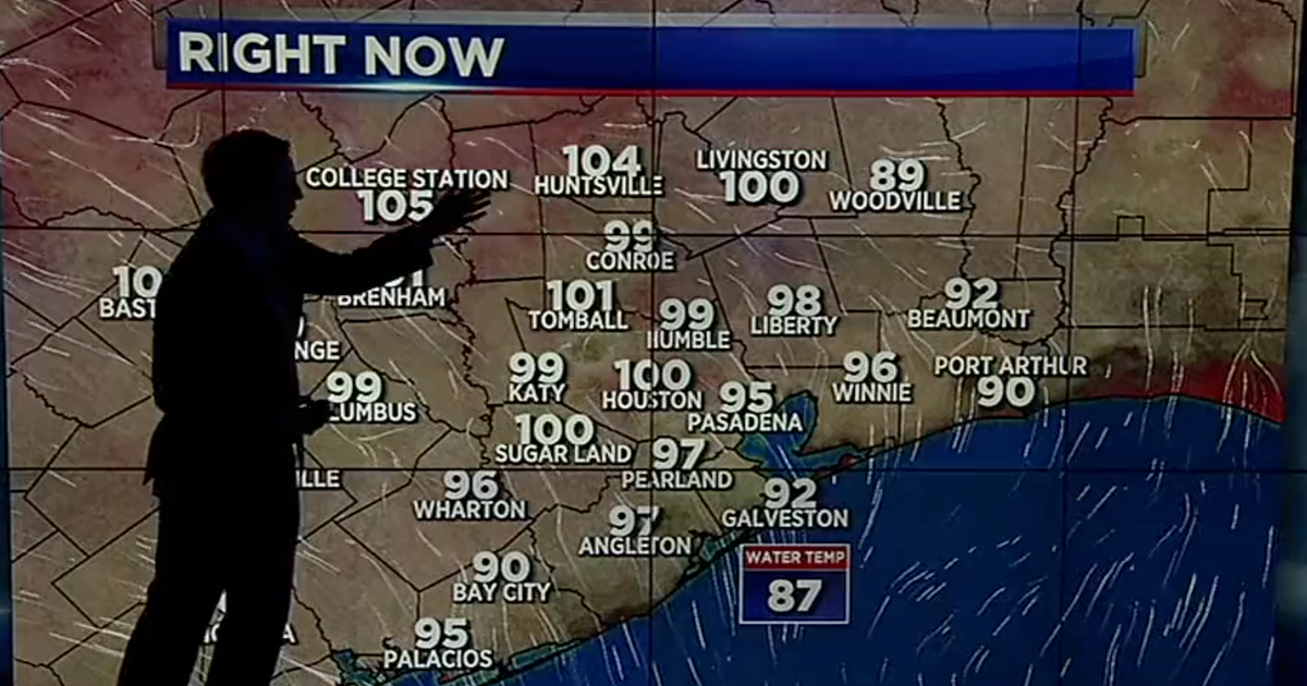 Texas Meteorologist's Warning Of Blackouts Quickly Gets All Too Real ...