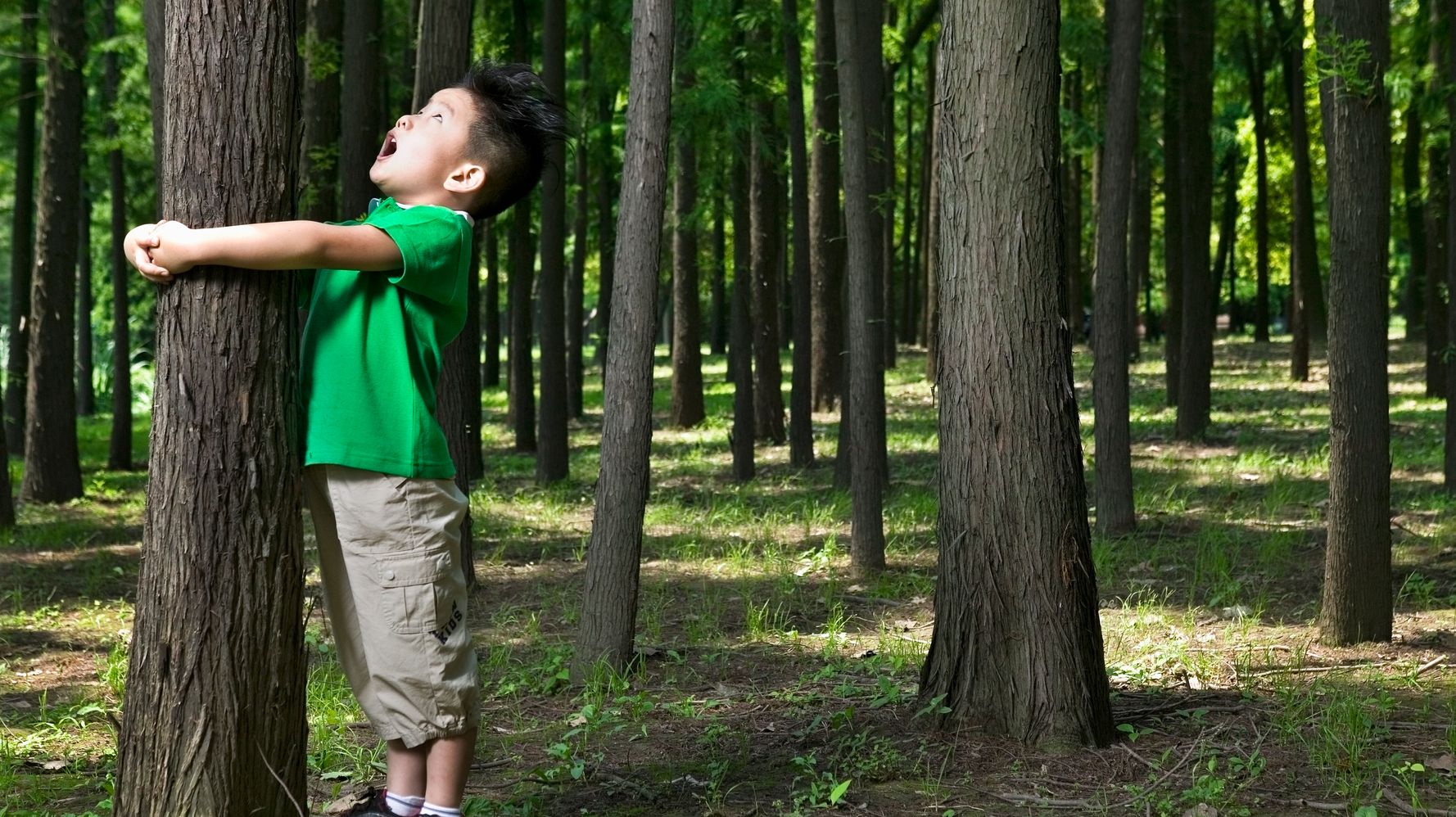 Voici cinq activités conçues pour les enfants à faire en pleine forêt