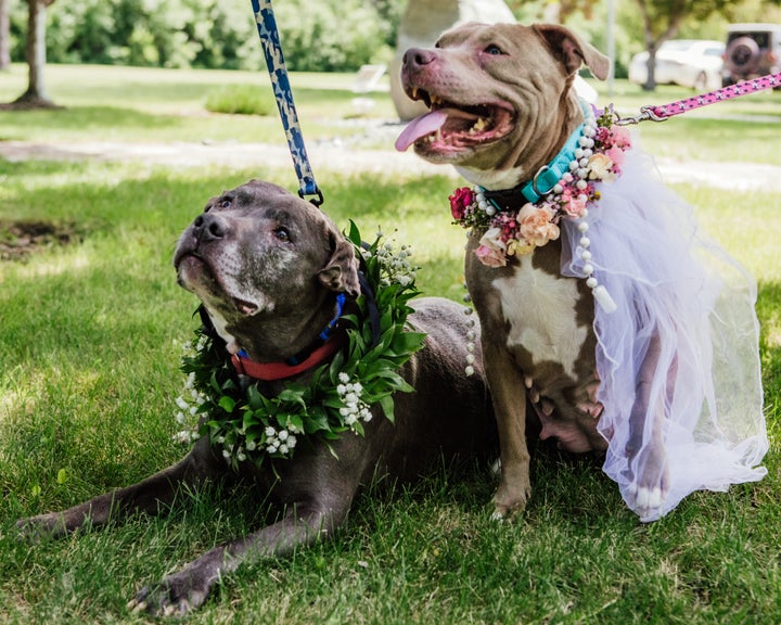 Earl, left, and Fran making it official.